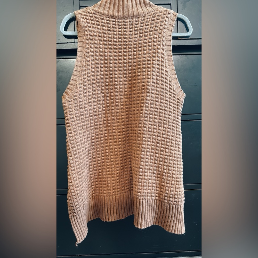 Brown Sleeveless Knit Sweater: French connection - Picture 3 of 12